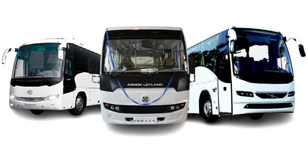 Mini & Luxury Bus